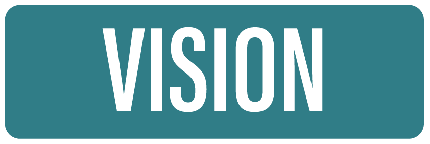 Vision